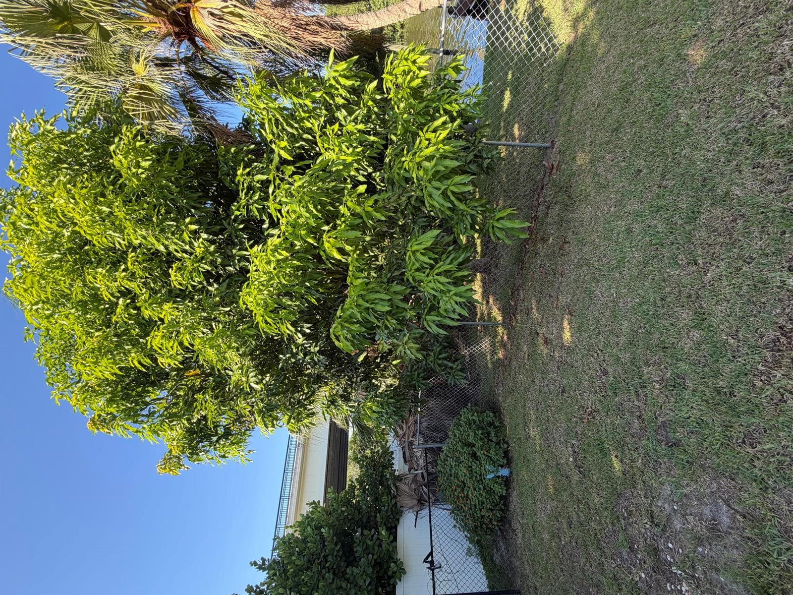 1219 SE CORAL REEF Street photo 11