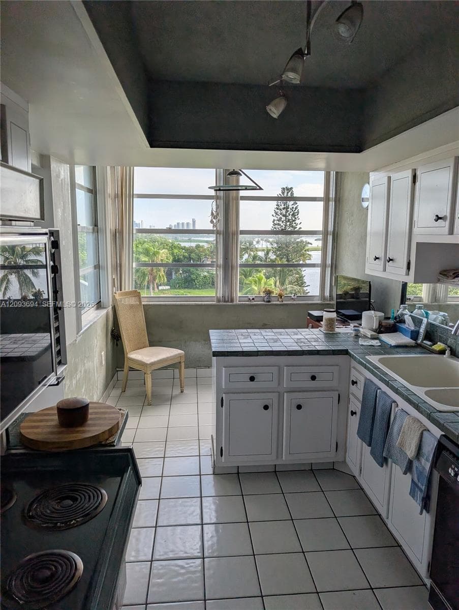 11930 N Bayshore Dr 502 photo 21