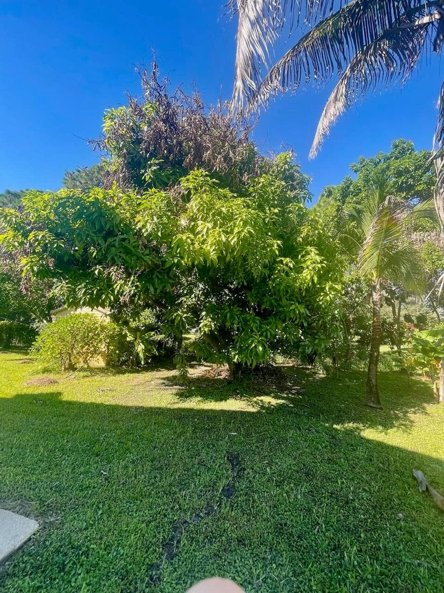 2086 SW SAVAGE Boulevard photo 14