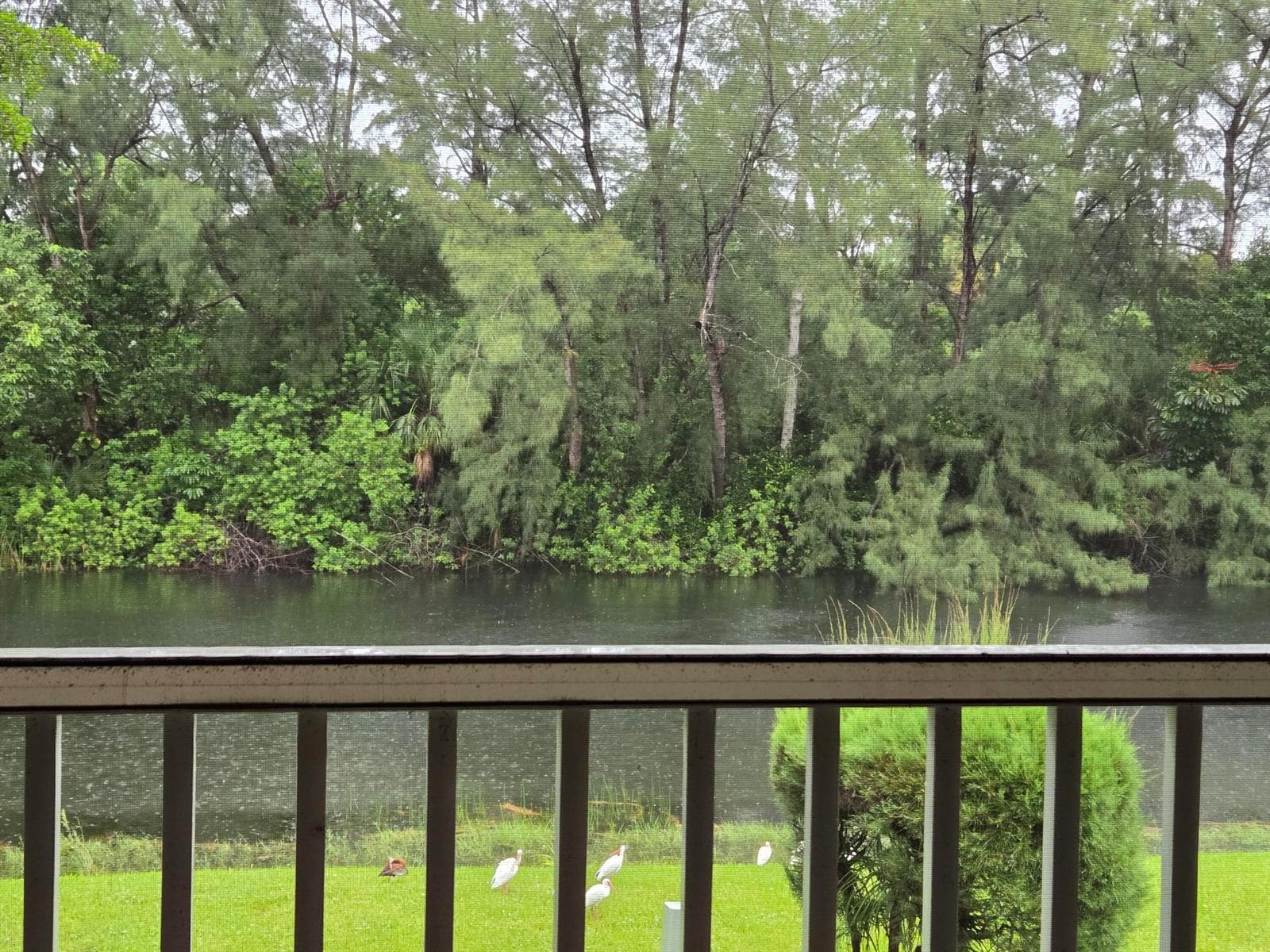 130 Lake Meryl Drive photo 5