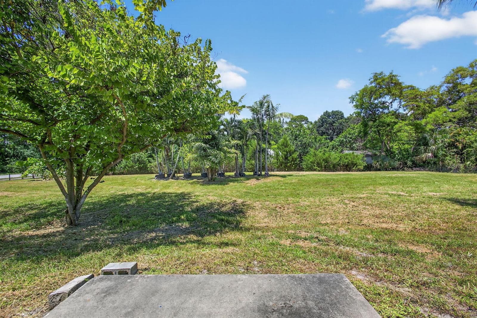 16971 W Mayfair Drive W photo 18