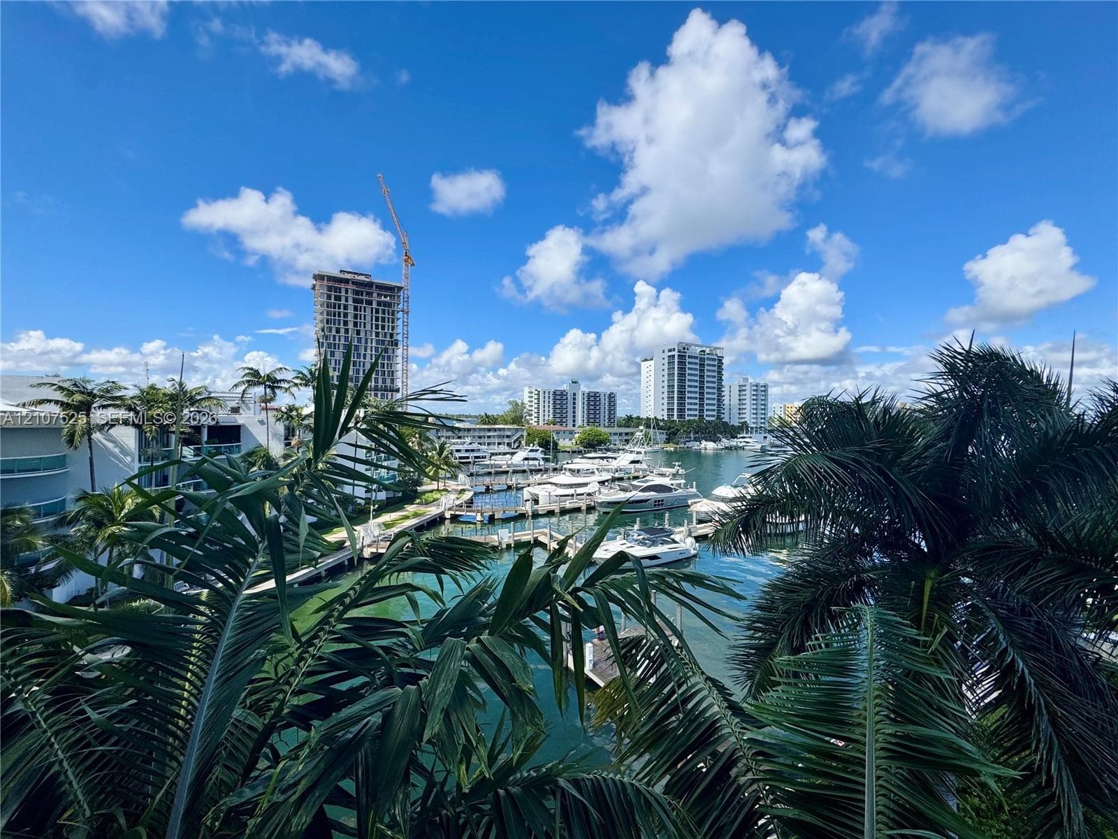 7910 Harbor Island Dr 405 photo 4
