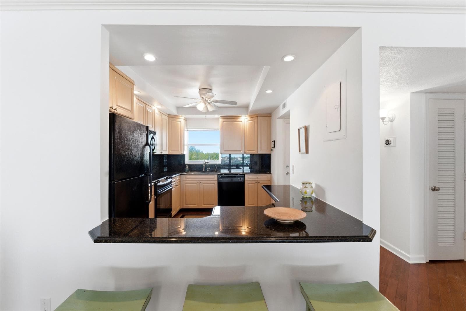 511 BAYSHORE Drive 410 photo 15
