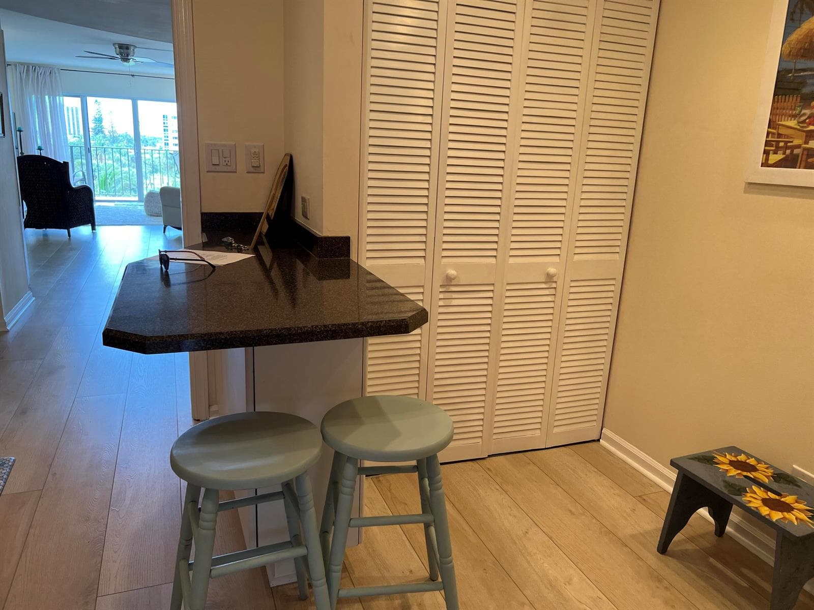 801 LAKE SHORE Drive 515 photo 10