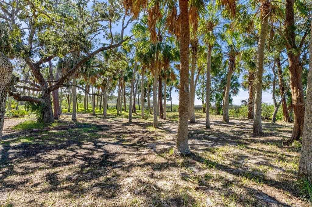 8812 CAMP LANE photo 12
