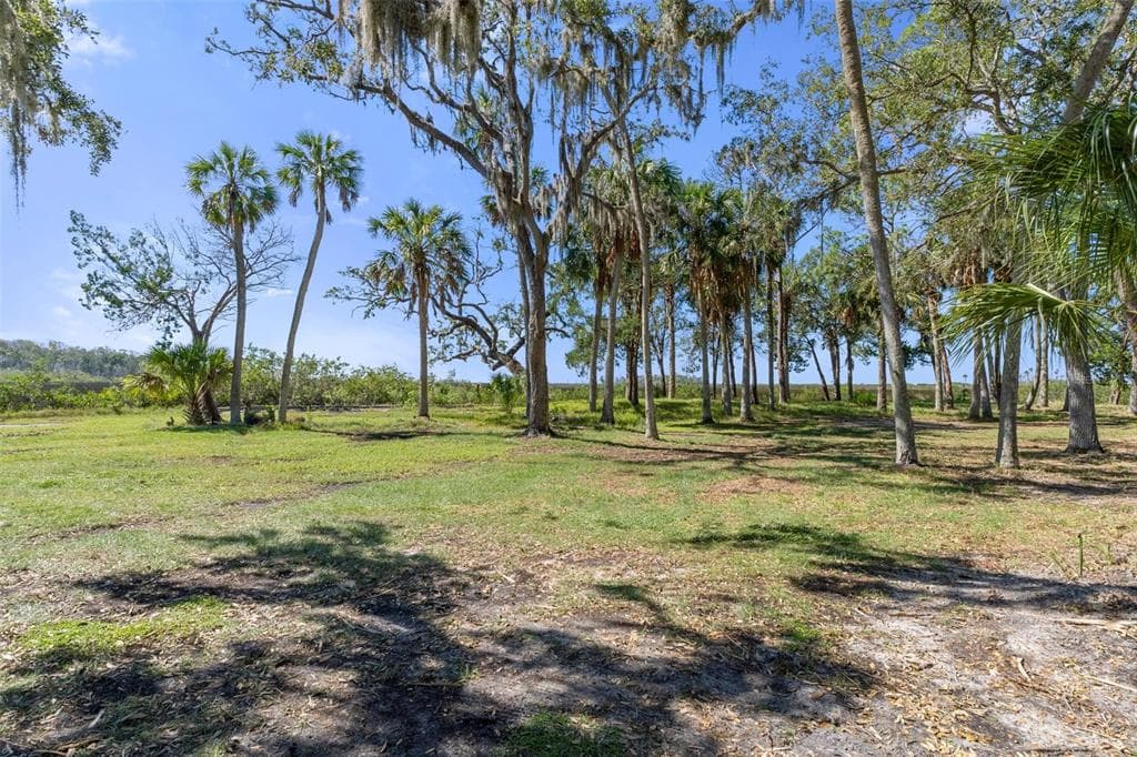 8812 CAMP LANE photo 7