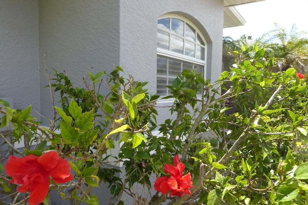 328 BAYTREE DRIVE 4