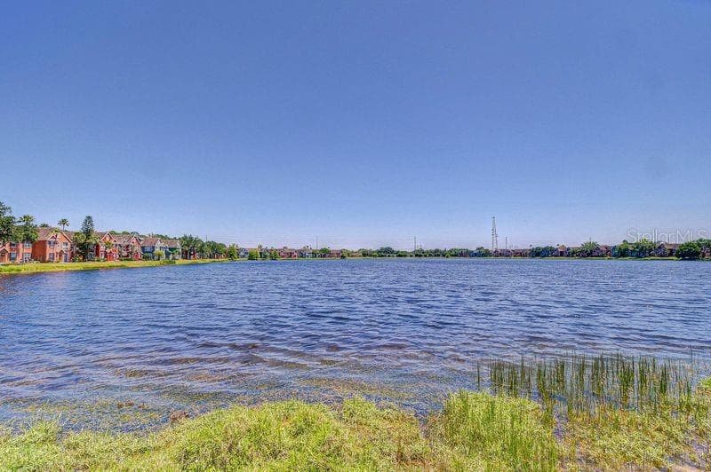 9304 LAKE CHASE ISLAND WAY photo 8