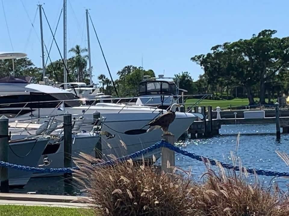 2600 HARBOURSIDE DRIVE O-11 photo 9