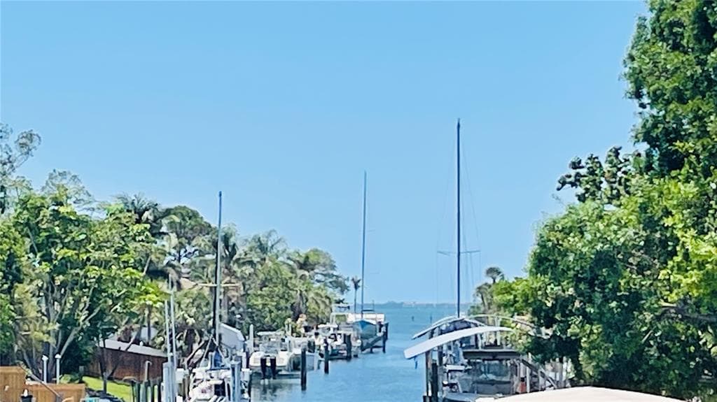409 BRYN MAWR ISLAND photo 20