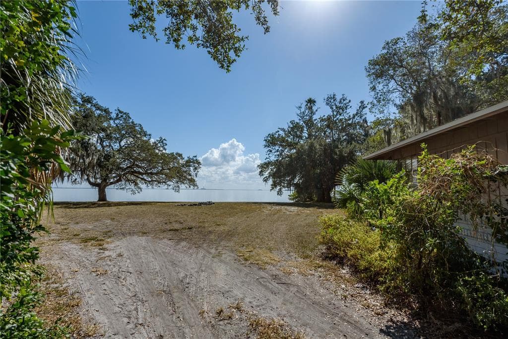 6210 BAYSHORE BOULEVARD photo 8