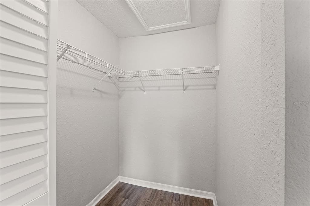 9042 LAKE CHASE ISLAND WAY photo 15