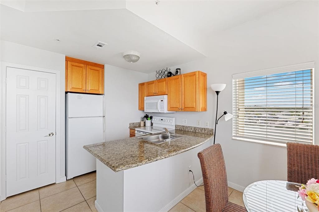 8800 BAY PINES BOULEVARD 312 photo 14
