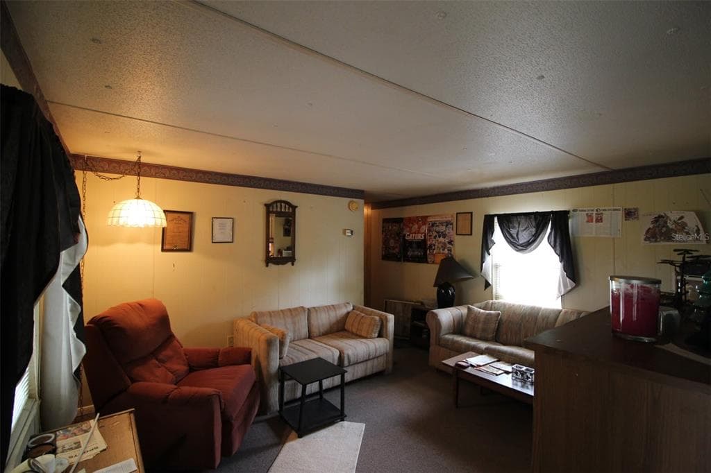 205 SUSAN STREET photo 4