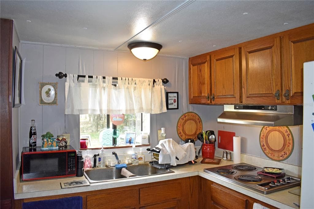 148 SWAN LAKE DRIVE photo 13