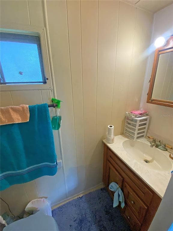148 SWAN LAKE DRIVE photo 17