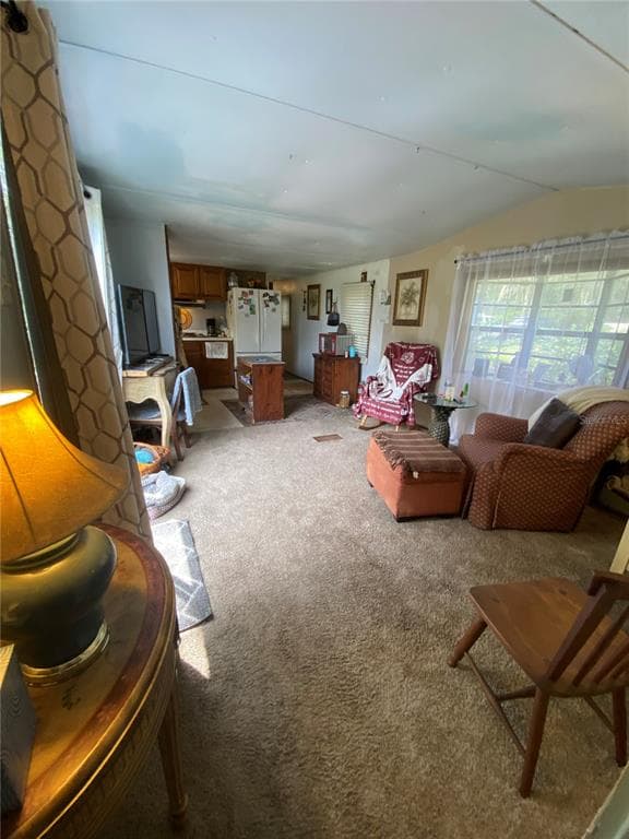 148 SWAN LAKE DRIVE photo 10