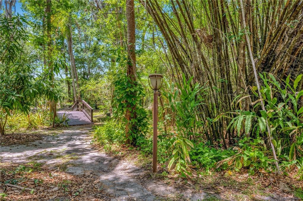 11526 RIVER COUNTRY DRIVE photo 12
