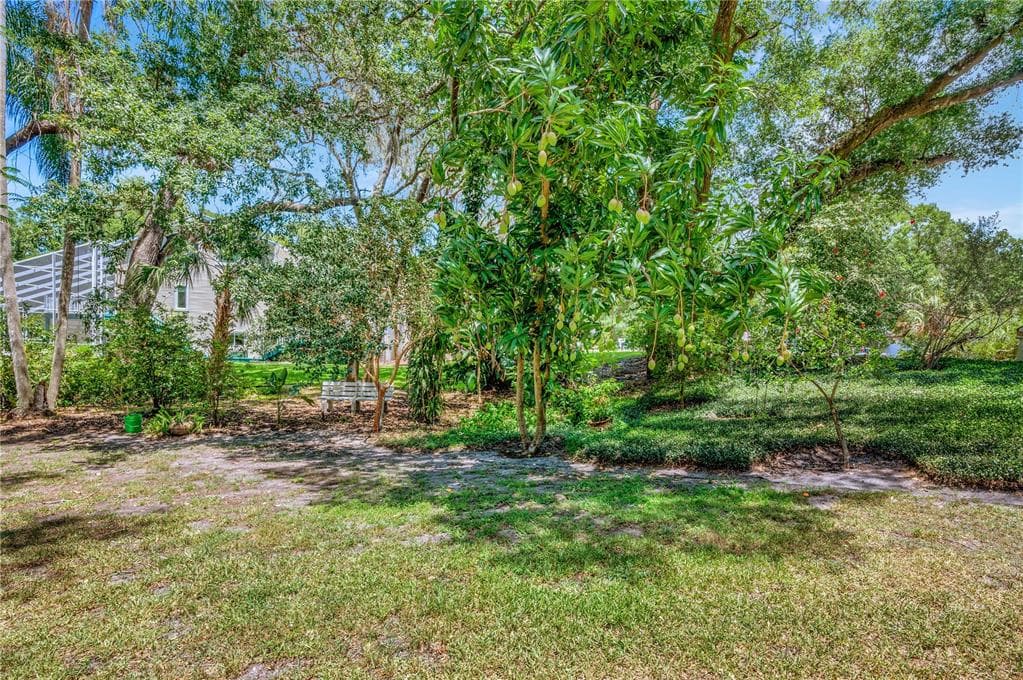11526 RIVER COUNTRY DRIVE photo 10
