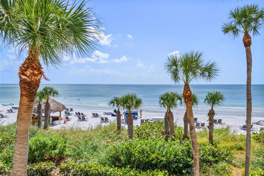 230 SANDS POINT ROAD 3205 photo 10