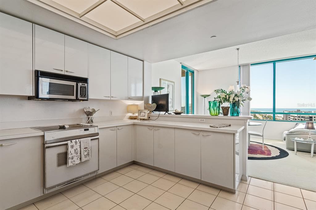 1560 GULF BOULEVARD 1507 photo 22