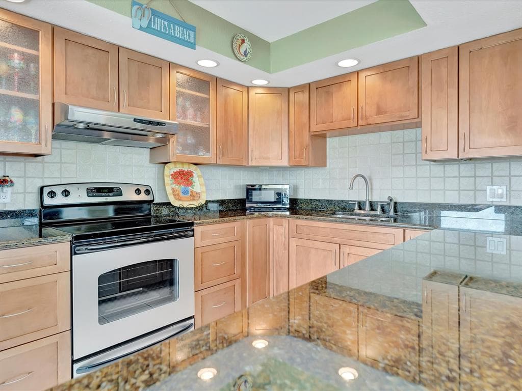 1400 GULF BOULEVARD 204 photo 8