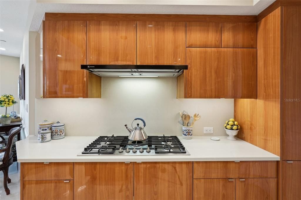 2050 BENJAMIN FRANKLIN DRIVE B704 photo 17