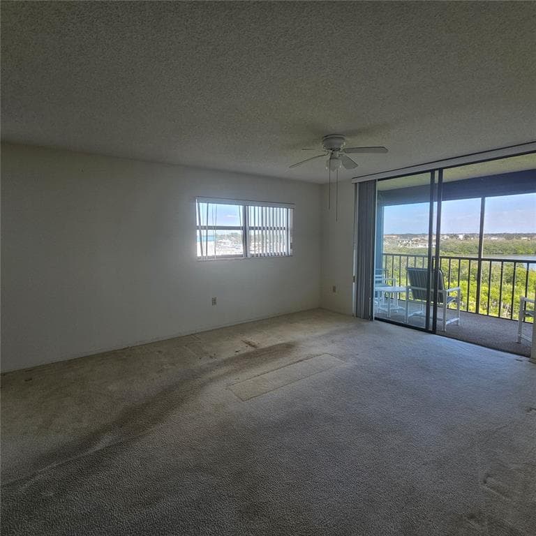 1332 PASADENA AVENUE S 501 photo 17