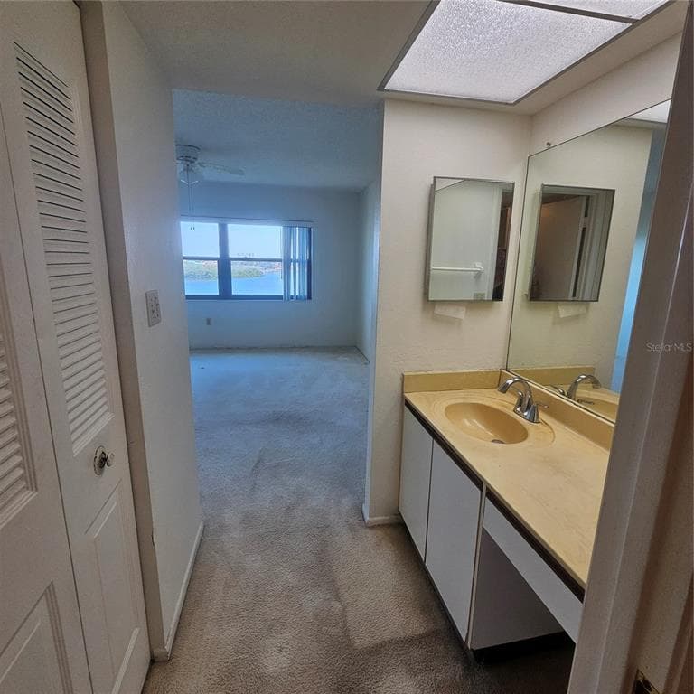 1332 PASADENA AVENUE S 501 photo 24