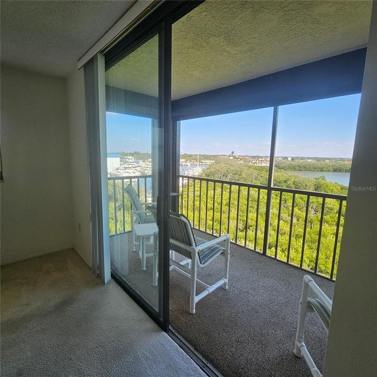 1332 PASADENA AVENUE S 501 photo 11