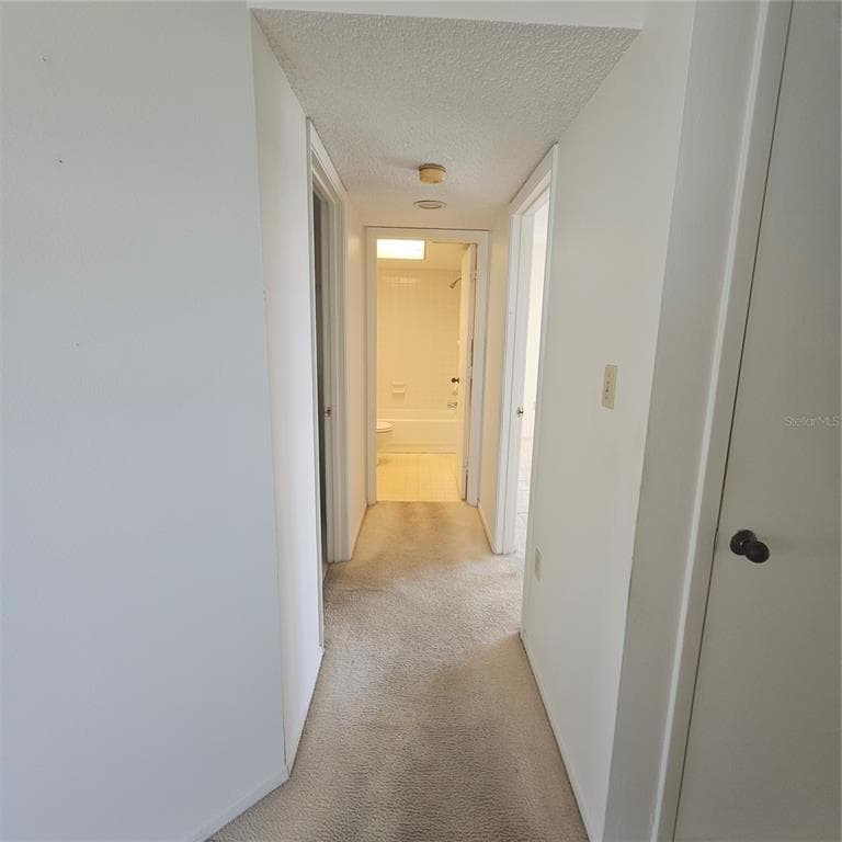 1332 PASADENA AVENUE S 501 photo 25