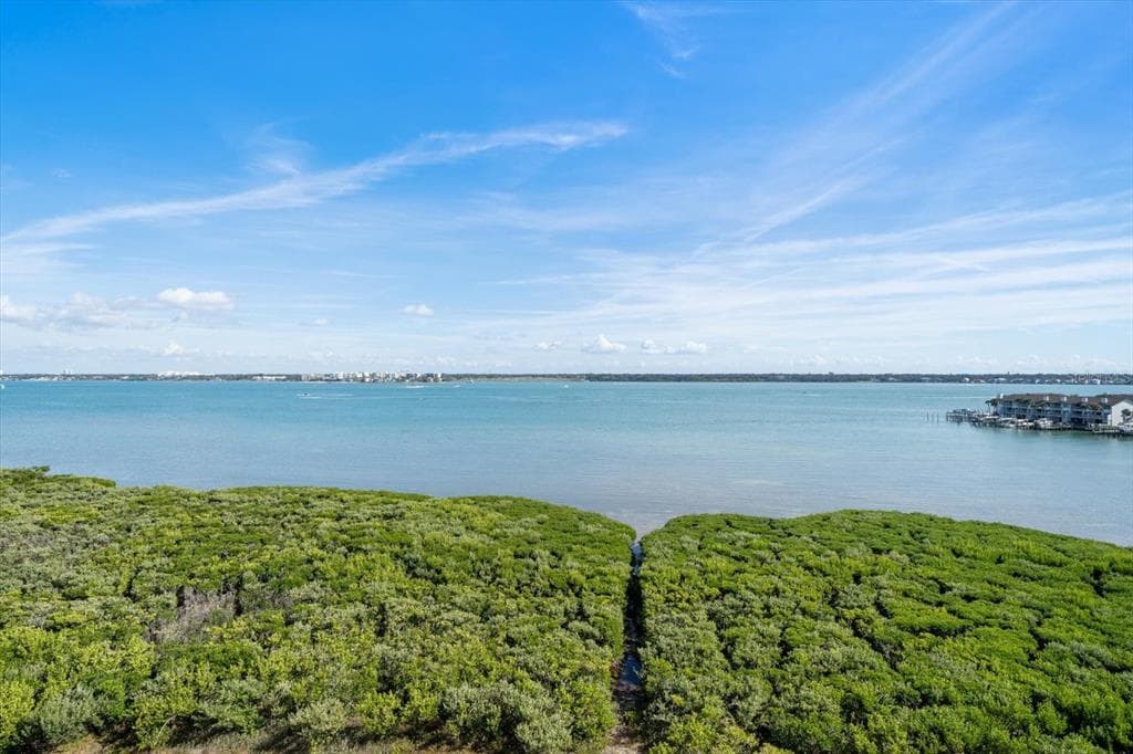 1501 GULF BOULEVARD 604 photo 2
