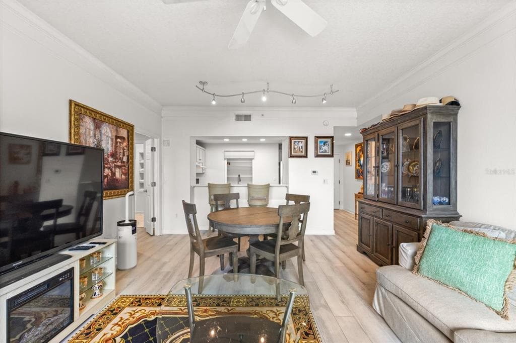 345 BAYSHORE BOULEVARD 706 photo 8