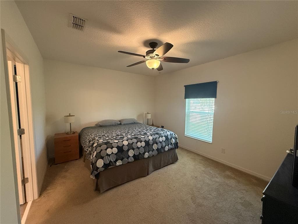 3374 REEDY GLEN DRIVE photo 11