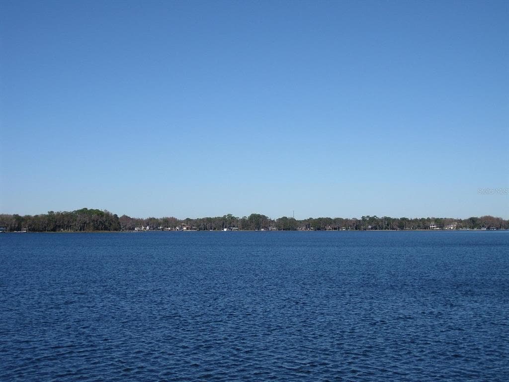 18620 WAYNE ROAD photo 6