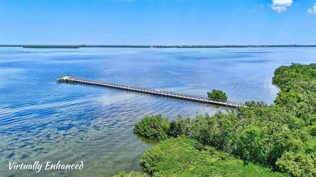 2925 TERRA CEIA BAY BOULEVARD 2703 photo 23