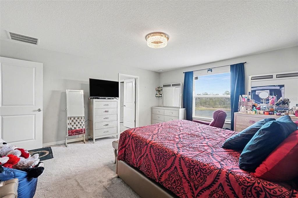 17206 WHITE MANGROVE DRIVE photo 14