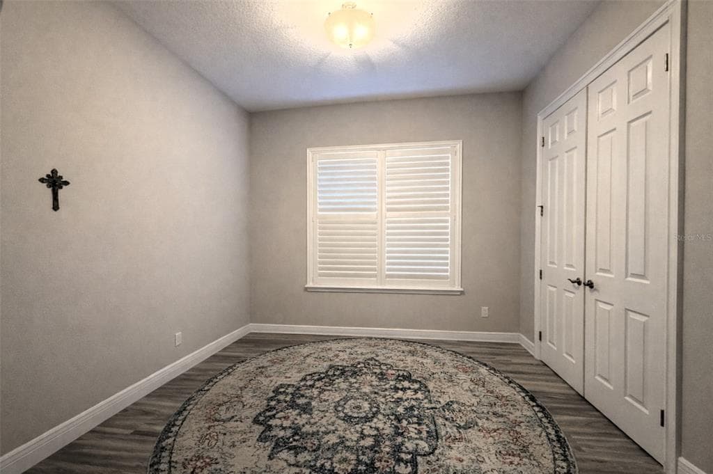 10127 TRIA DRIVE photo 19