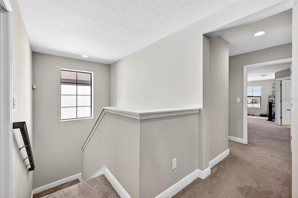 13134 MONACH ISLES DRIVE photo 25