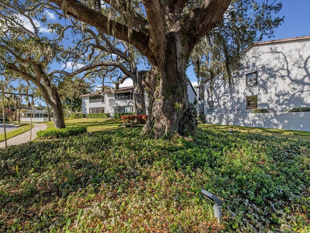 413 S BAYSHORE BOULEVARD 4 photo 23