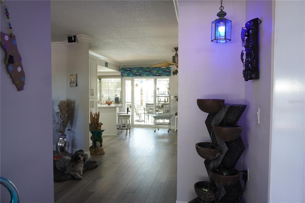 908 SAGO PALM WAY photo 24