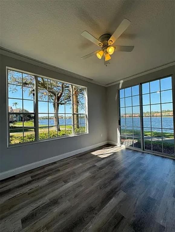 9820 LAKE CHASE ISLAND WAY 9820 photo 7