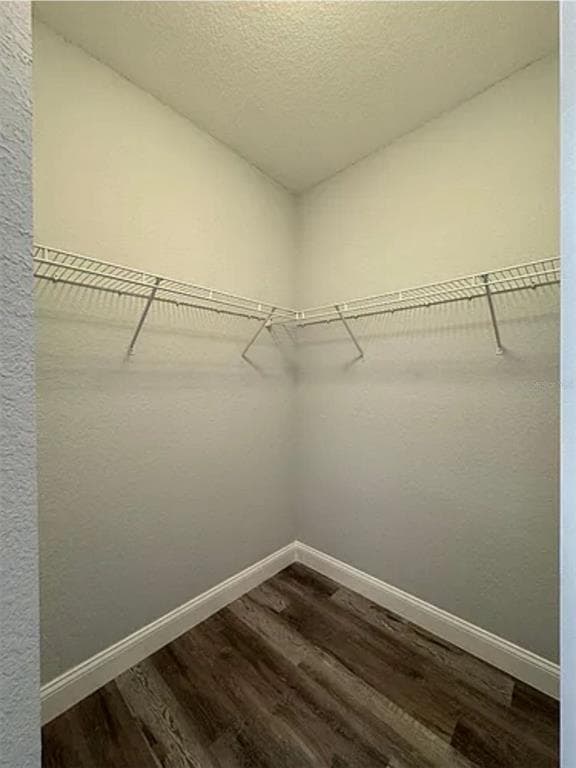 9820 LAKE CHASE ISLAND WAY 9820 photo 19