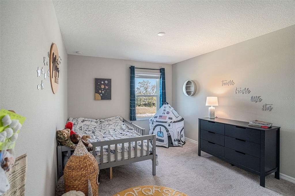 13362 SAGE HOLLOW AVENUE photo 22