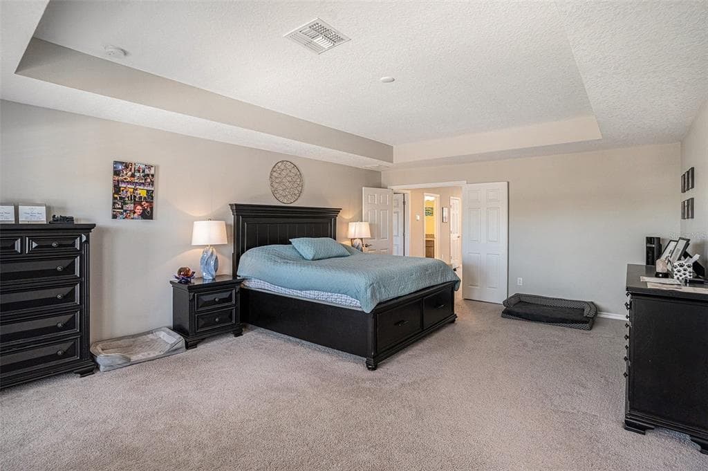 13362 SAGE HOLLOW AVENUE photo 18