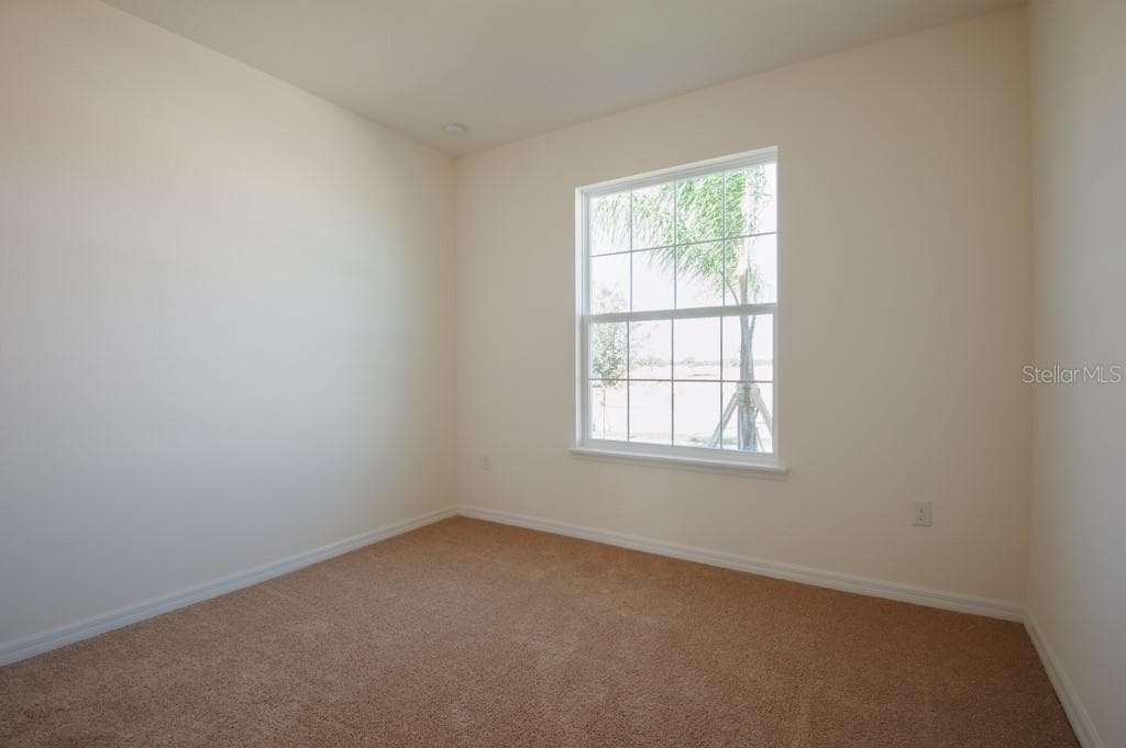 15543 TRINITY FALL WAY photo 16
