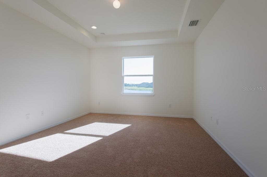15543 TRINITY FALL WAY photo 10