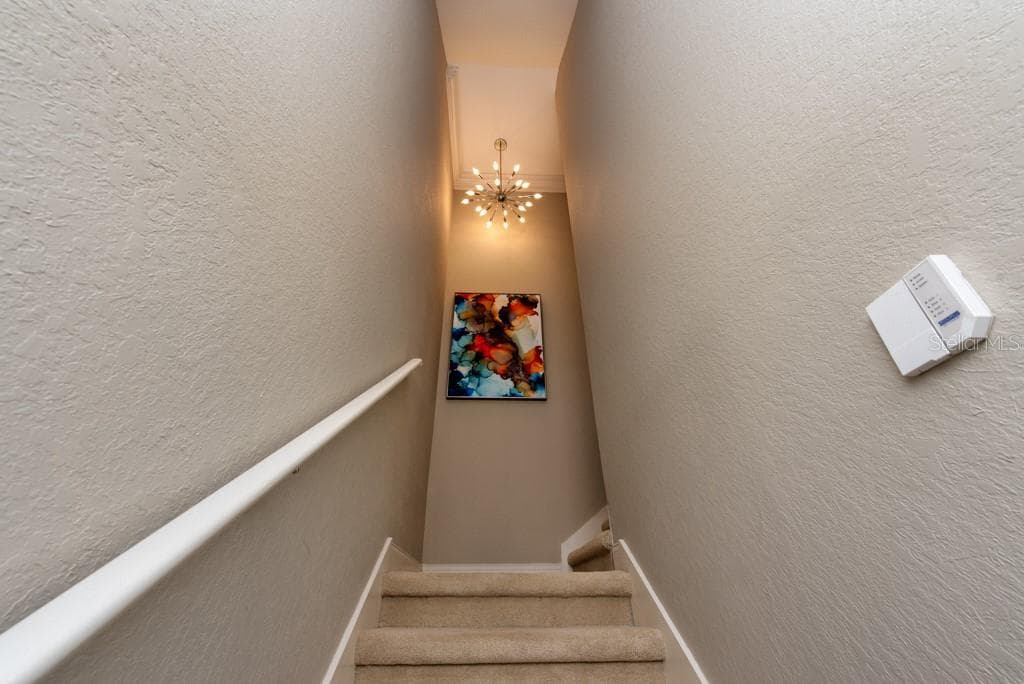 1430 MANATEE CIRCLE photo 6