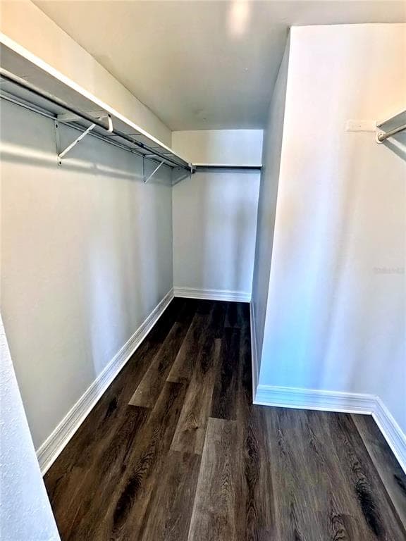 464 N PAULA DRIVE 115 photo 15