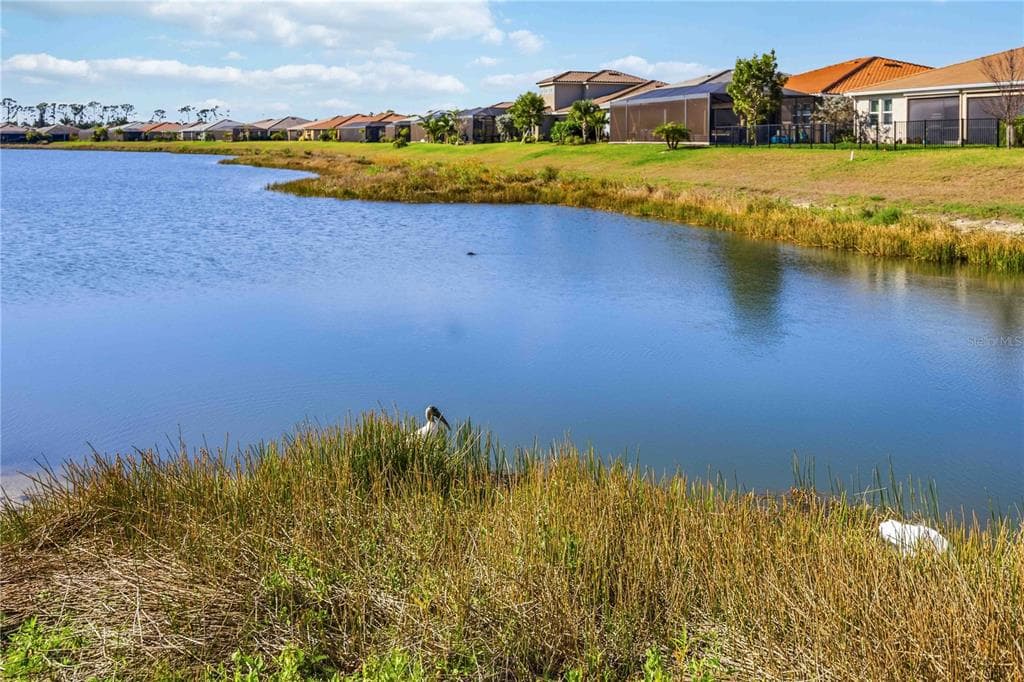 20453 BANDERA PLACE photo 18